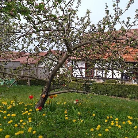 Pension Töpferhof Bad Berka Exteriör bild