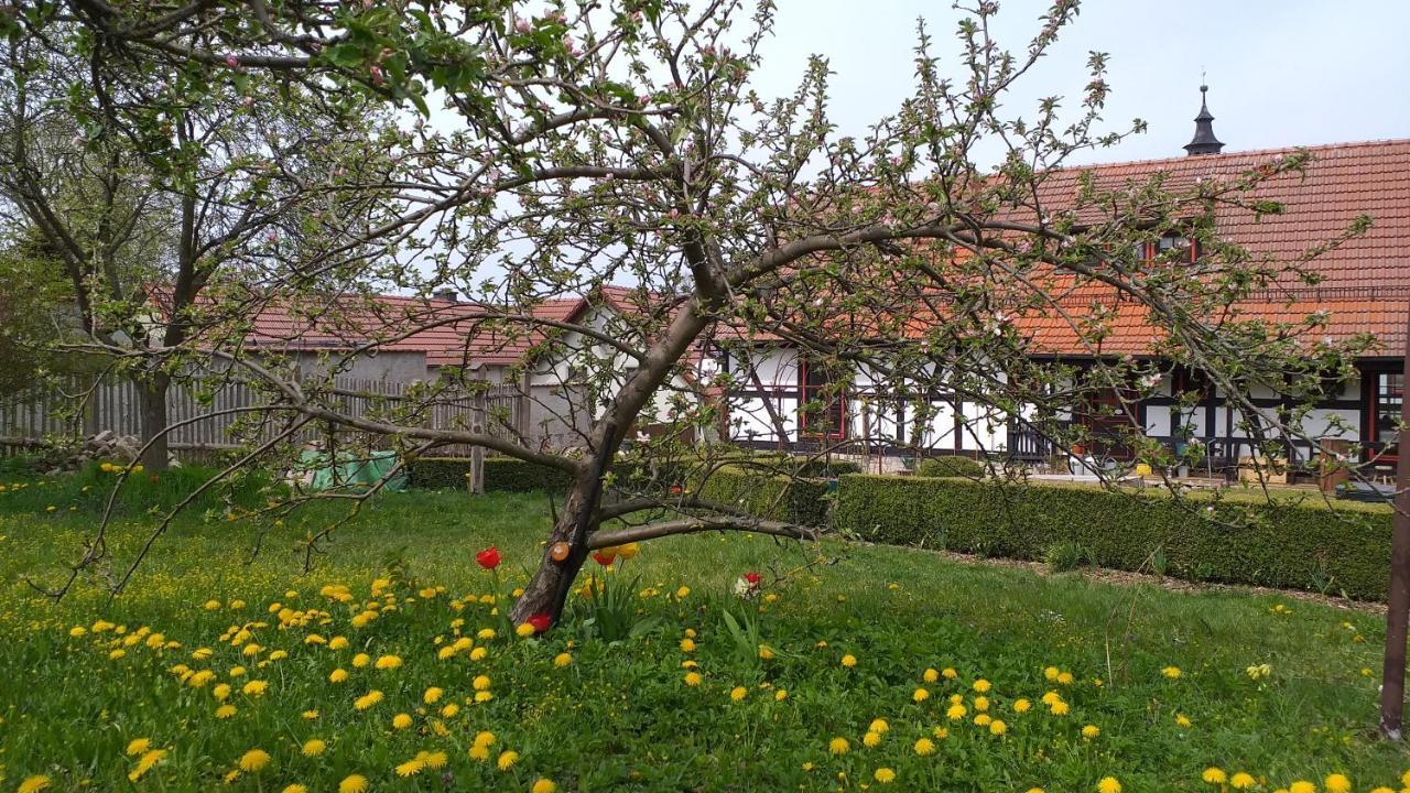 Pension Töpferhof Bad Berka Exteriör bild