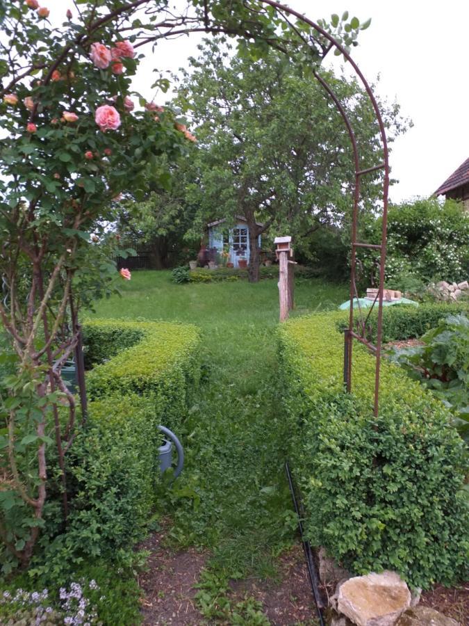 Pension Töpferhof Bad Berka Exteriör bild